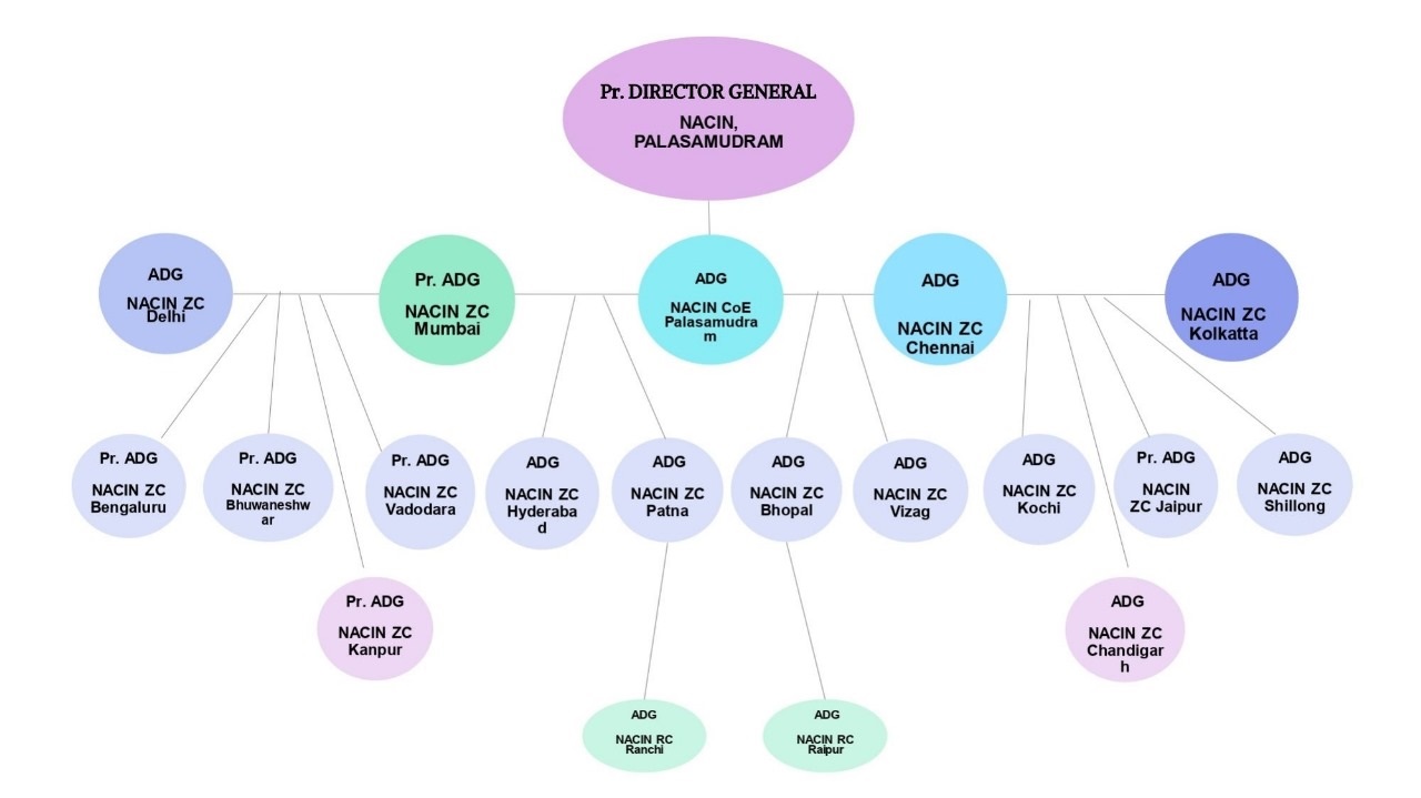 Organization Chart