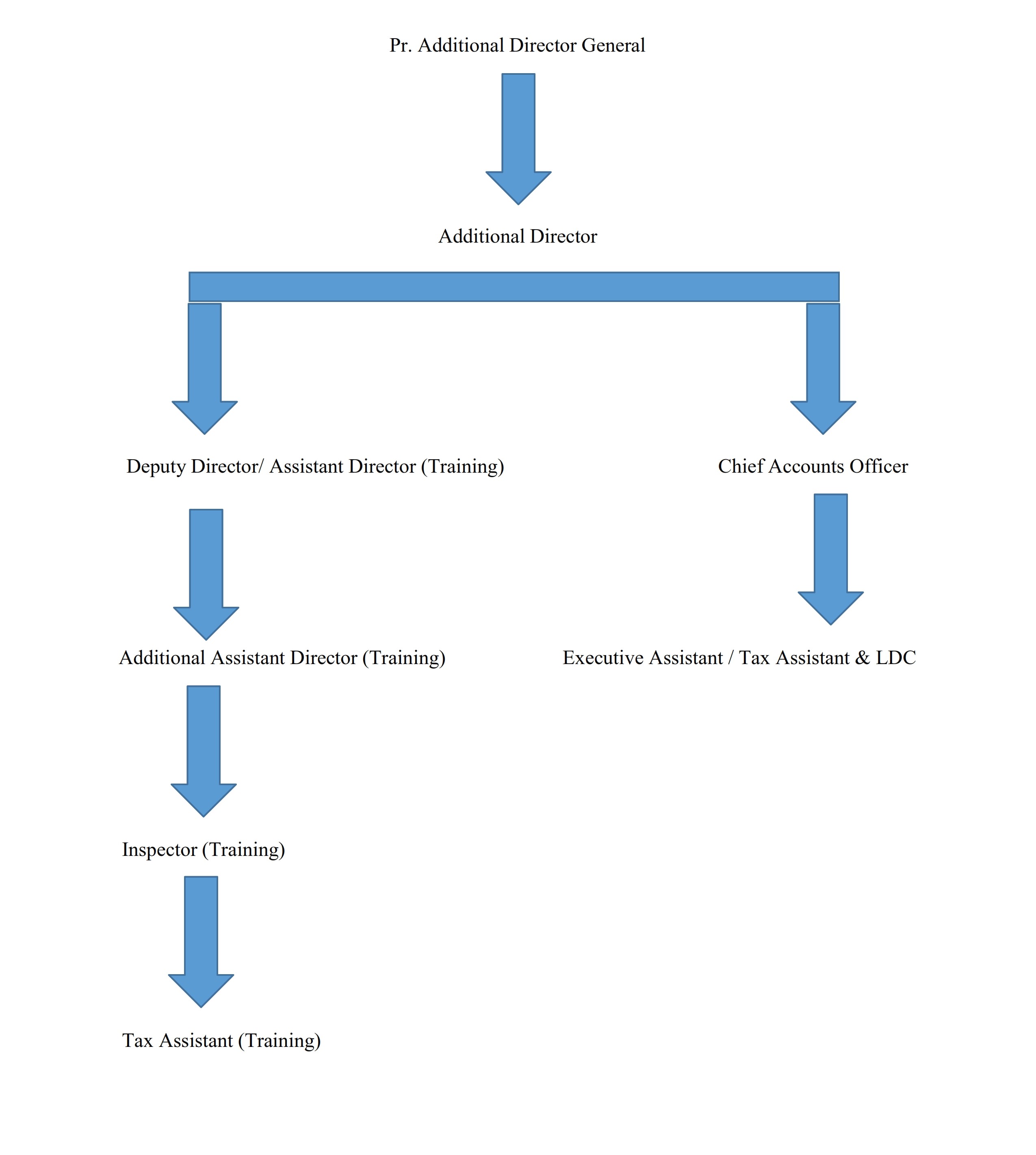 Organization Chart