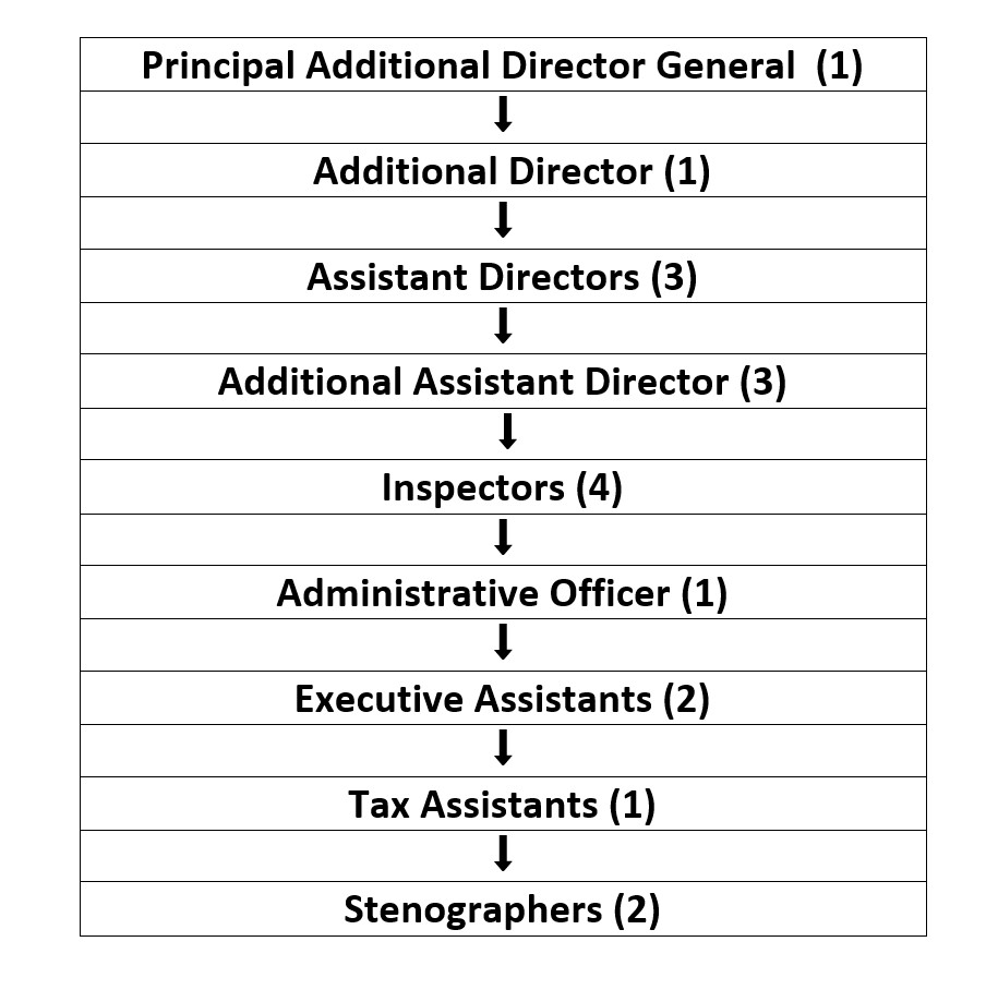 Organization Chart