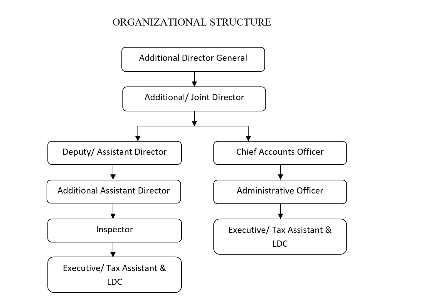 Organization Chart