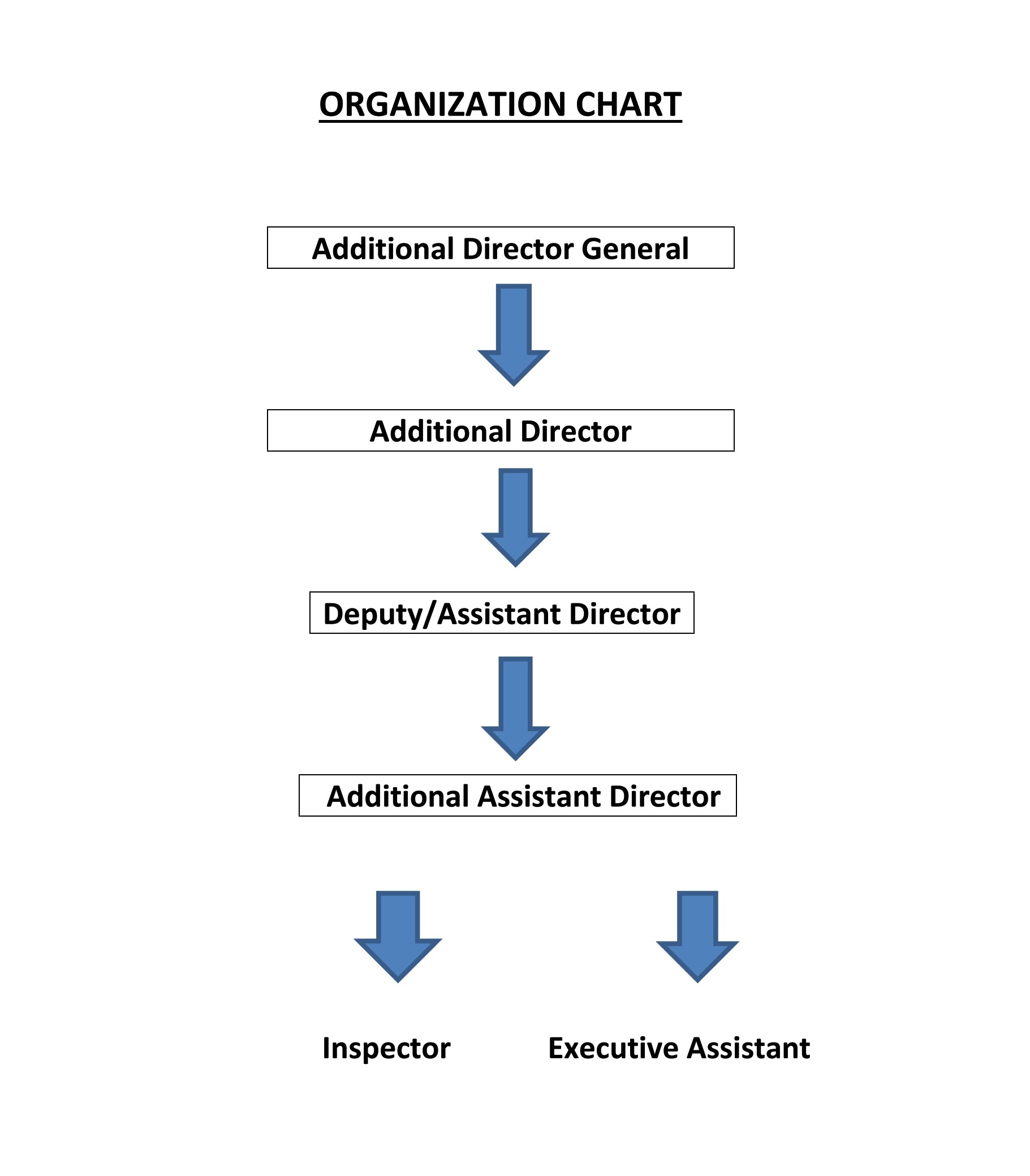 Organization Chart