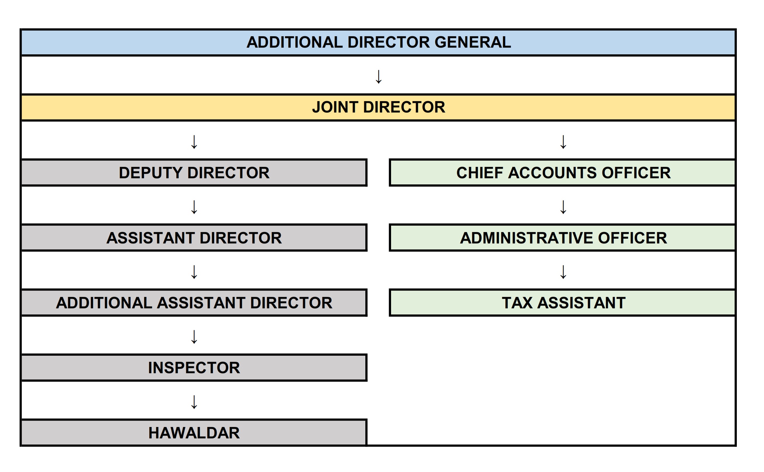 Organization Chart