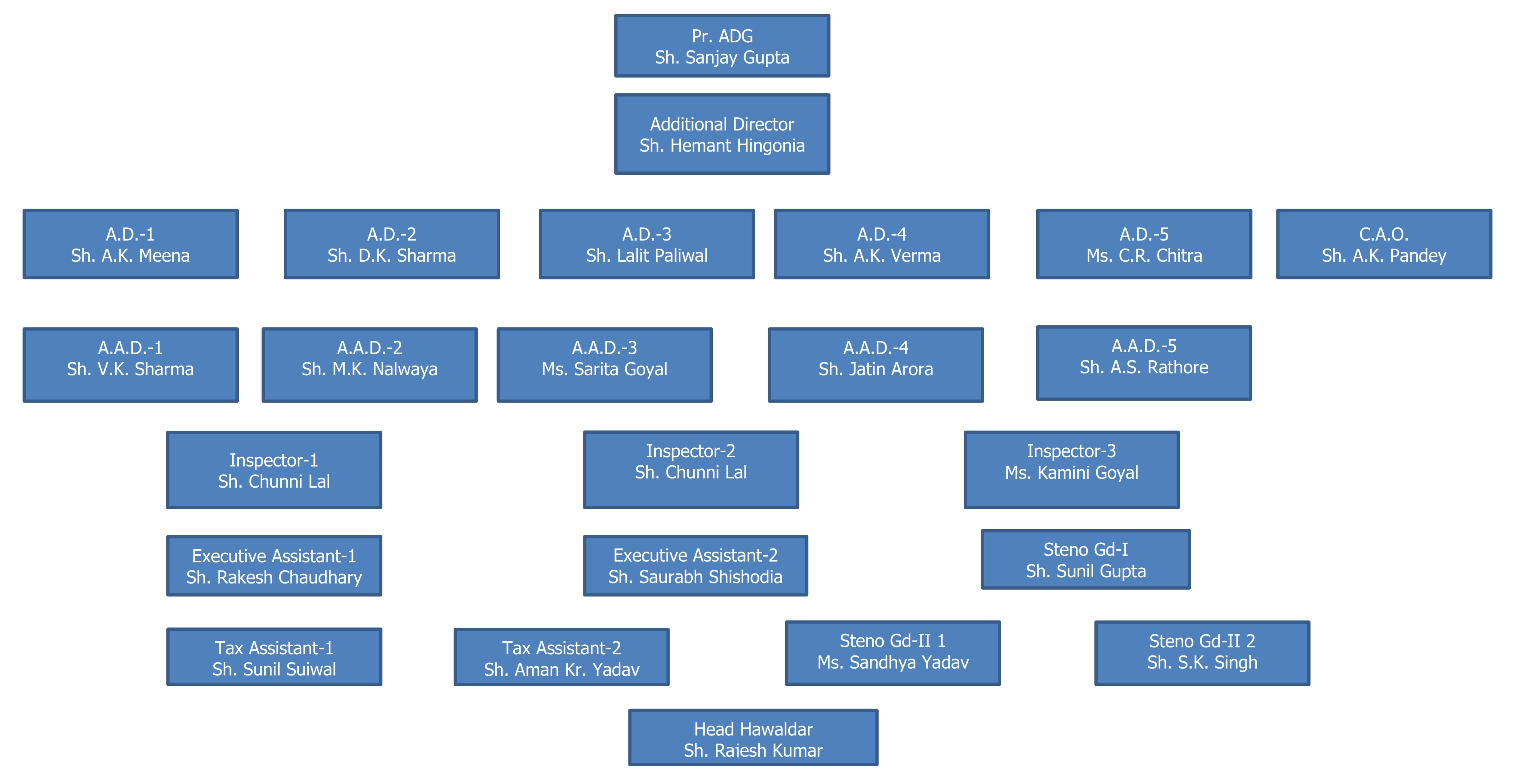 Organization Chart