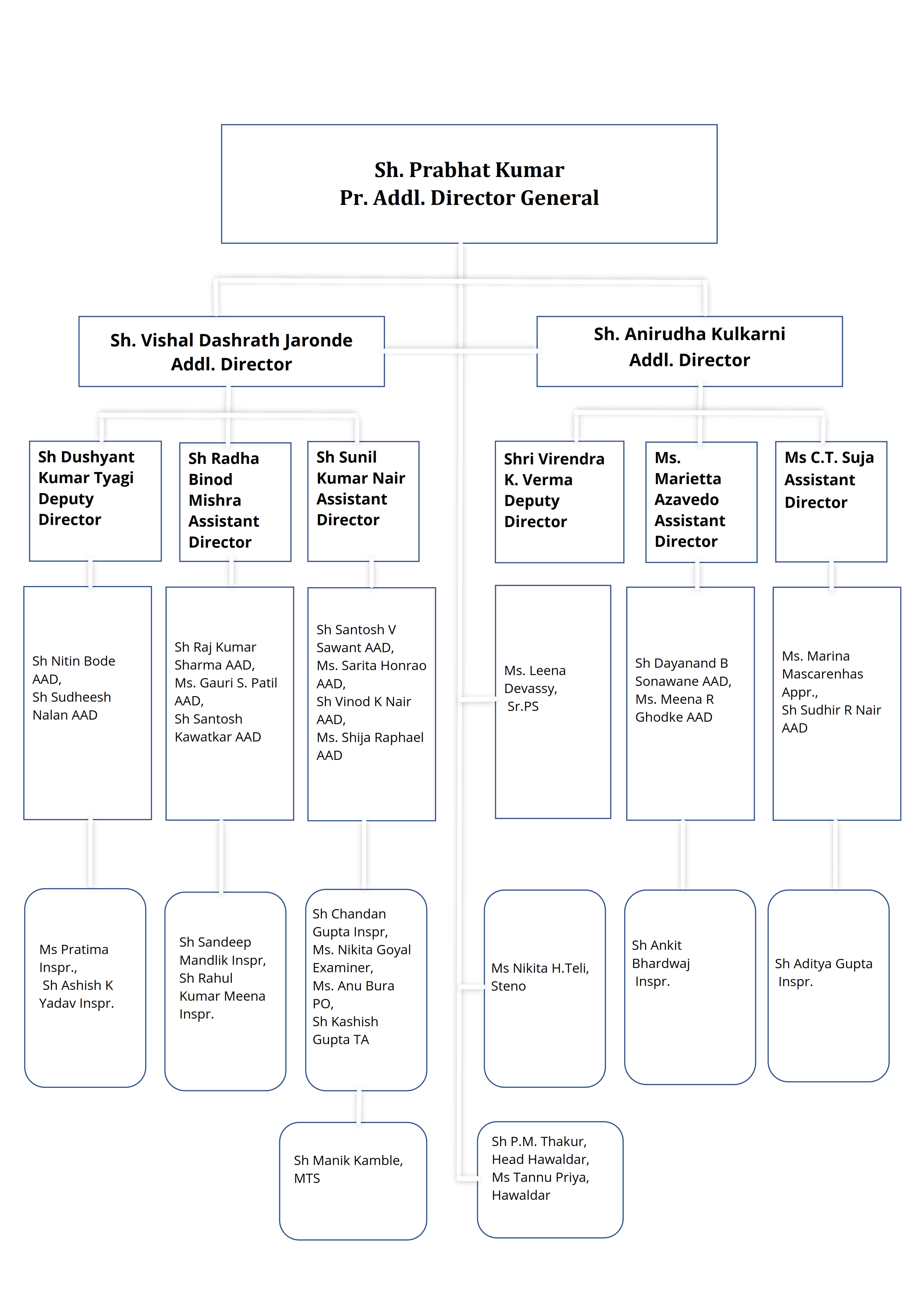 Organization Chart