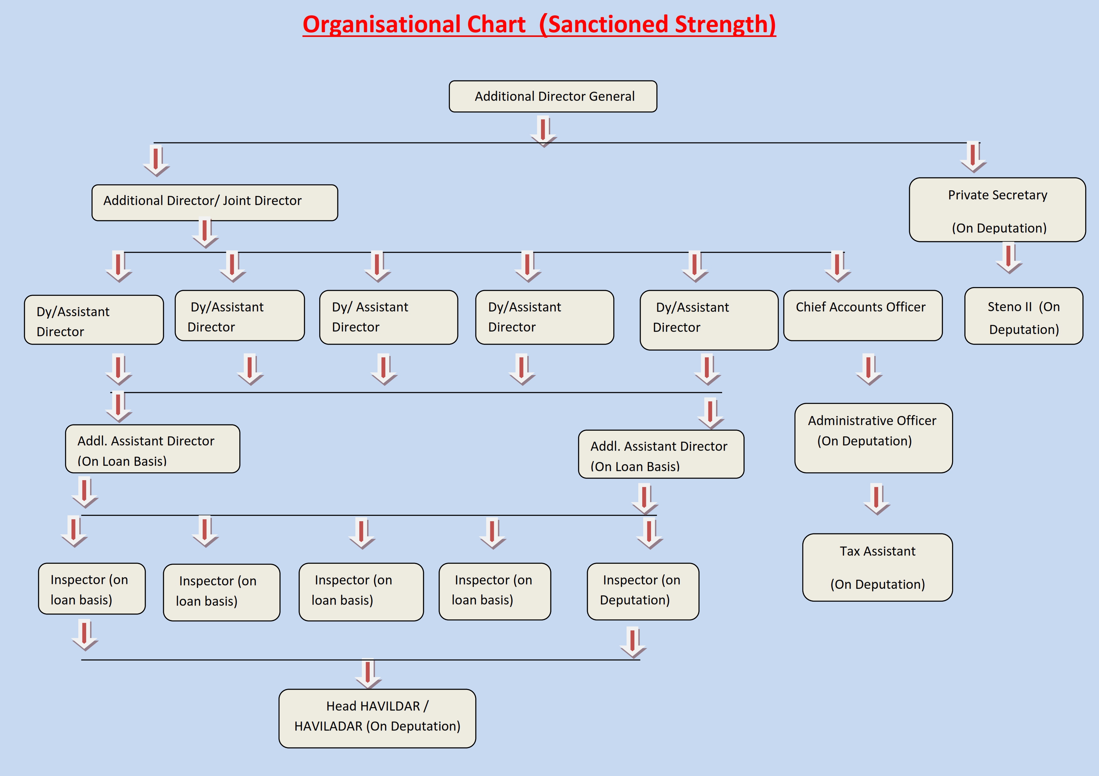 Organization Chart