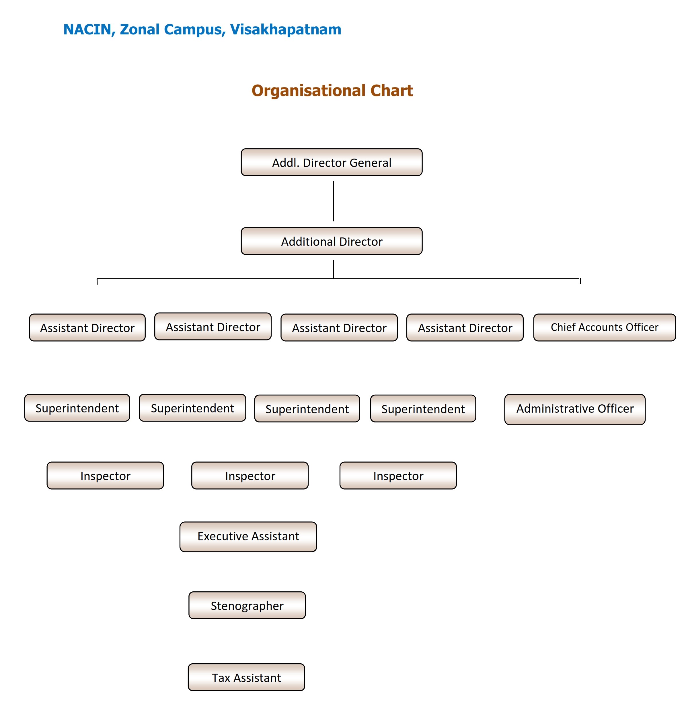 Organization Chart